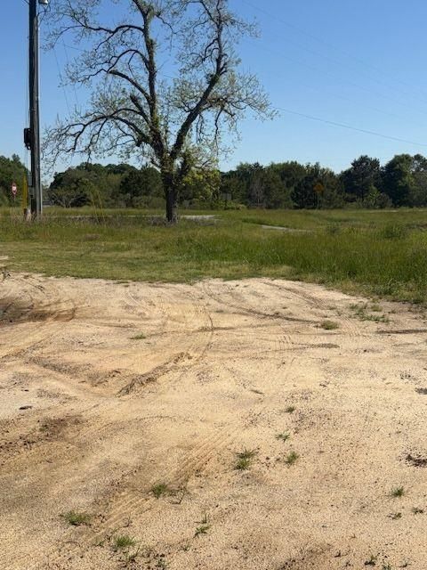 Unimproved Land in Pineview GA 0 Georgia  HWY 257.jpg