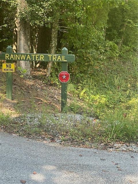 Unimproved Land in Tiger GA 0 Rainwater Trl 2.jpg