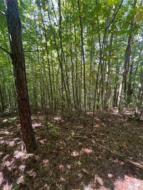 Unimproved Land in Tiger GA 0 Rainwater Trl 3.jpg