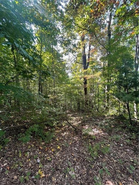 Unimproved Land in Tiger GA 0 Rainwater Trl 4.jpg