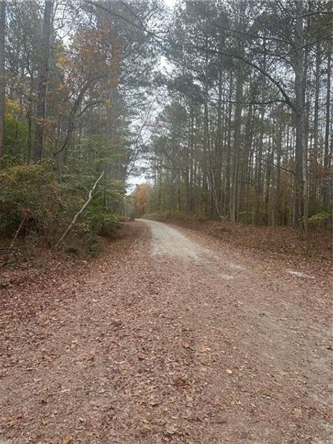 Unimproved Land in Palmetto GA 9905 BRAZELL Road.jpg