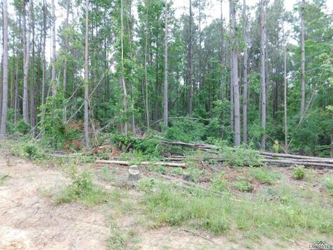  in Gilmer TX TBD Megan Mills Rd.jpg