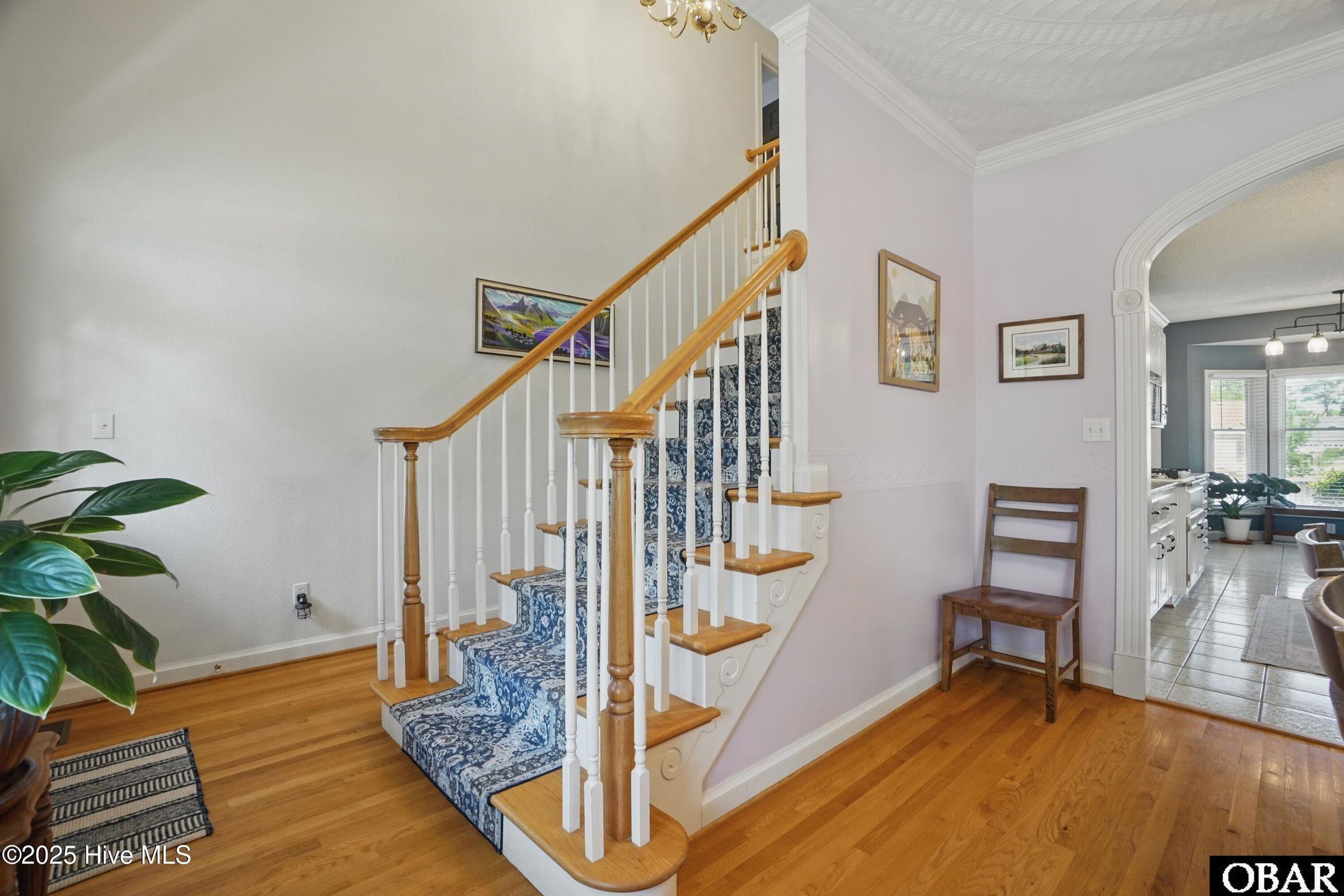 Single Family Residence in Camden NC 107 Magnolia Drive #Lot 75,76,77 11.jpg