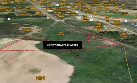Unimproved Land in Neeses SC 0 Henry Road.jpg