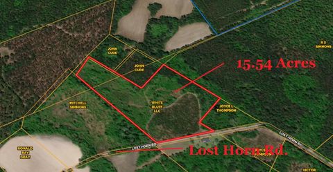 Unimproved Land in Branchville SC 0 Lost Horn Road.jpg