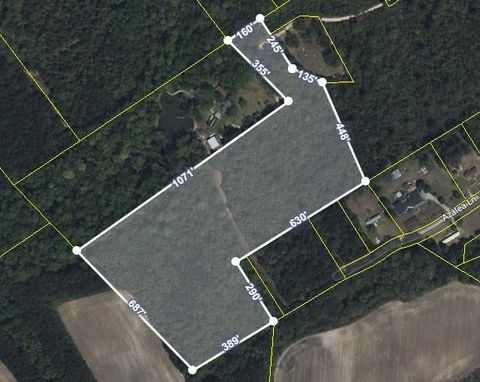  in Alcolu SC TBD Plowden Mill Road Tract D.jpg