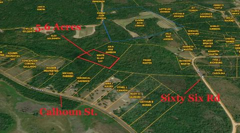 Unimproved Land in Branchville SC 0 Calhoun Street.jpg