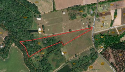 Unimproved Land in Bowman SC 0 Big Buck Boulevard.jpg