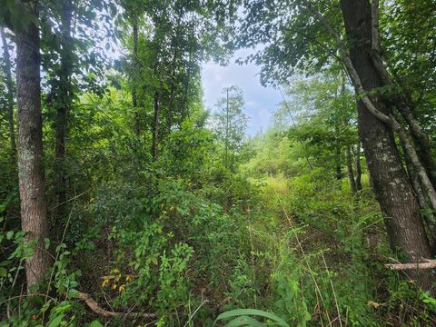Unimproved Land in Branchville SC 1 Freedom Road.jpg