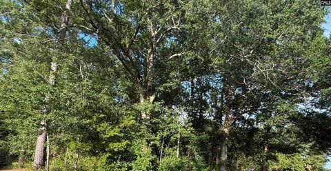  in Orangeburg SC 0 Hidden Valley Drive.jpg