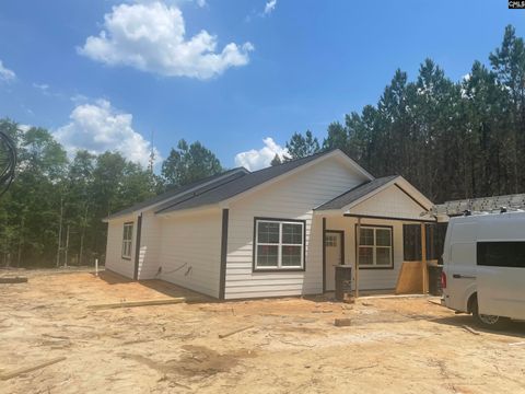 Single Family Residence in Swansea SC 905 Horses Neck Road.jpg