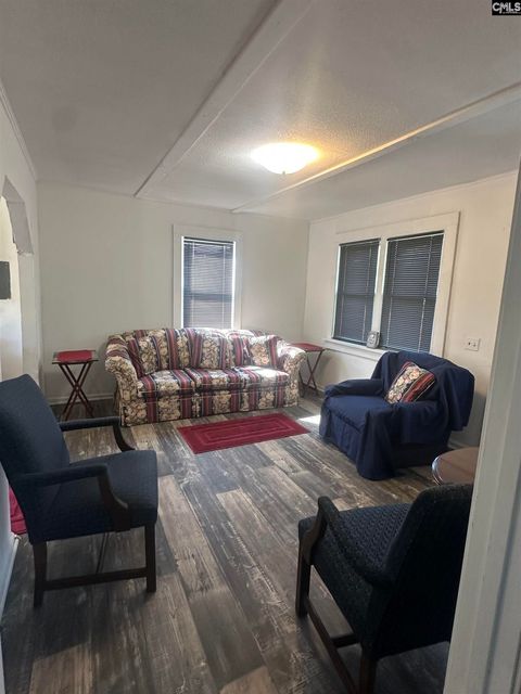 Single Family Residence in Cope SC 185 Holley Road 7.jpg