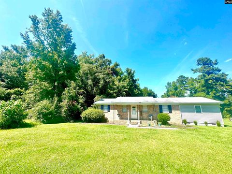 Single Family Residence in Cope SC 1793 Snake Swamp Road 2.jpg