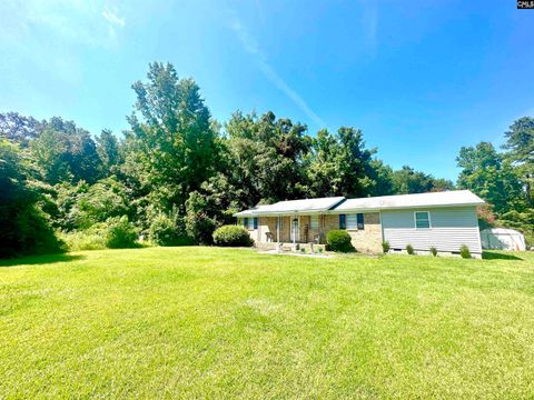 Single Family Residence in Cope SC 1793 Snake Swamp Road 3.jpg