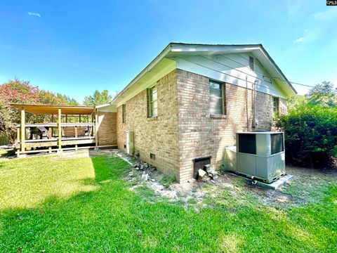 Single Family Residence in Cope SC 1793 Snake Swamp Road 6.jpg