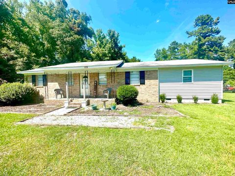 Single Family Residence in Cope SC 1793 Snake Swamp Road.jpg