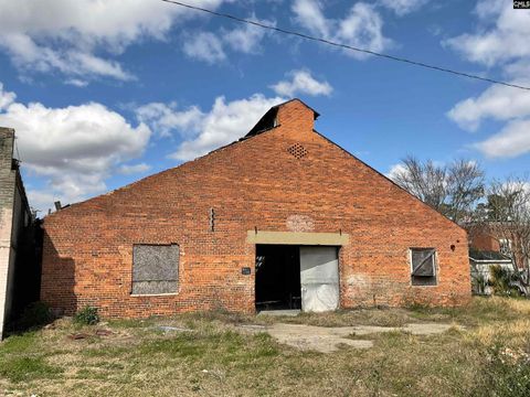 Unimproved Land in Bamberg SC 11975 Heritage Highway.jpg