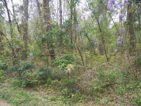 in Blair SC Lot #17 Myrtle Lane.jpg
