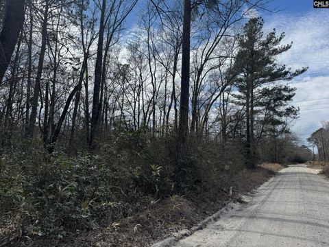  in Eastover SC 1230 Goffman Road.jpg