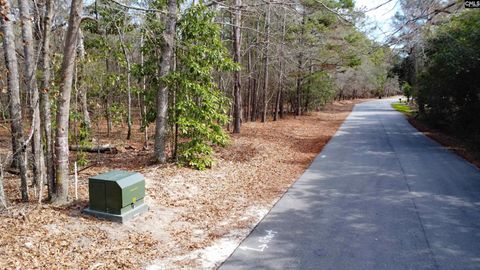  in Camden SC Timberline Dr Lot B.jpg