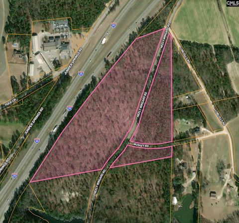 Unimproved Land in Gilbert SC 0 Neely Wingard Road.jpg