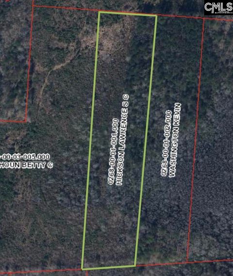  in Bowman SC tbd Baxley Road.jpg