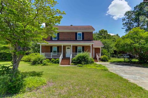 Single Family Residence in Gaston SC 4303 Fish Hatchery Road.jpg