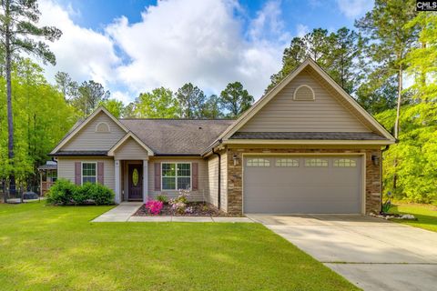 Single Family Residence in Swansea SC 519 Jim Rucker Road.jpg