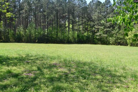 Single Family Residence in Chester SC 999 Halseville Road 3.jpg
