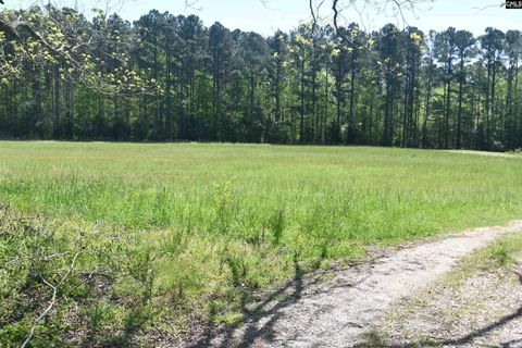 Single Family Residence in Chester SC 999 Halseville Road 4.jpg