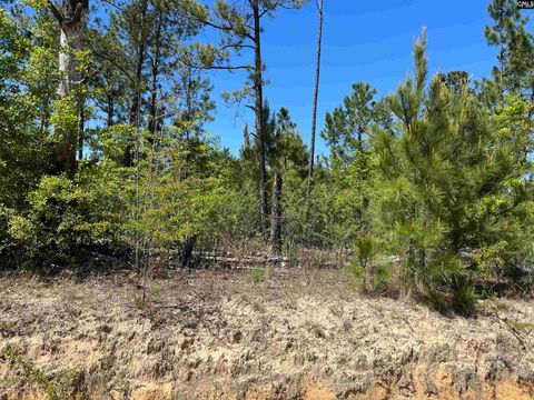  in NEESES SC TBD Preserver Road.jpg