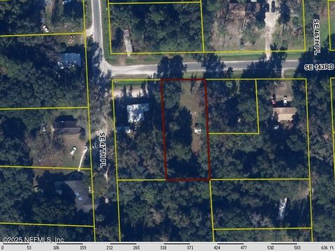 Unimproved Land in Starke FL TBD SE 143RD Terrace.jpg