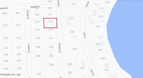 Unimproved Land in Florahome FL 115 SARASOTA Street.jpg
