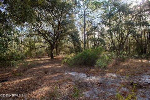 Unimproved Land in Melrose FL 0000 LAKE EVERETT Drive.jpg