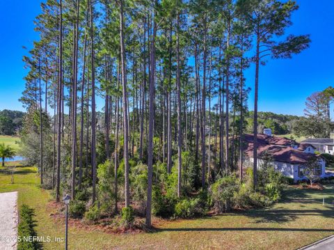 Unimproved Land in Fernandina Beach FL 85107 NAPEAGUE Drive.jpg