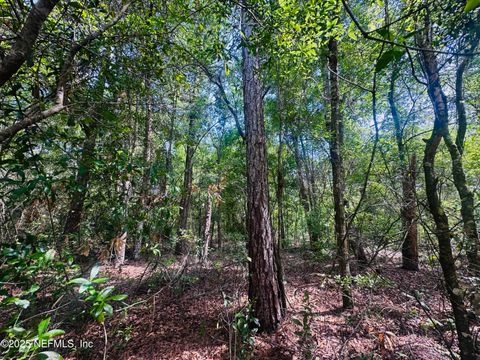 Unimproved Land in Keystone Heights FL 5423 LAREDO Street.jpg