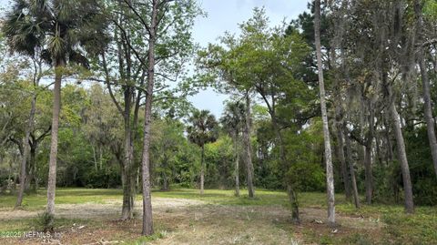 Unimproved Land in Ponte Vedra Beach FL 137 WALTER Way.jpg