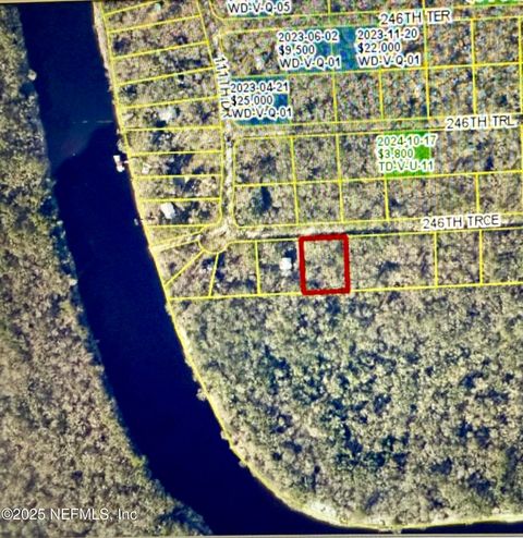 Unimproved Land in Branford FL 0 246TH Trace.jpg