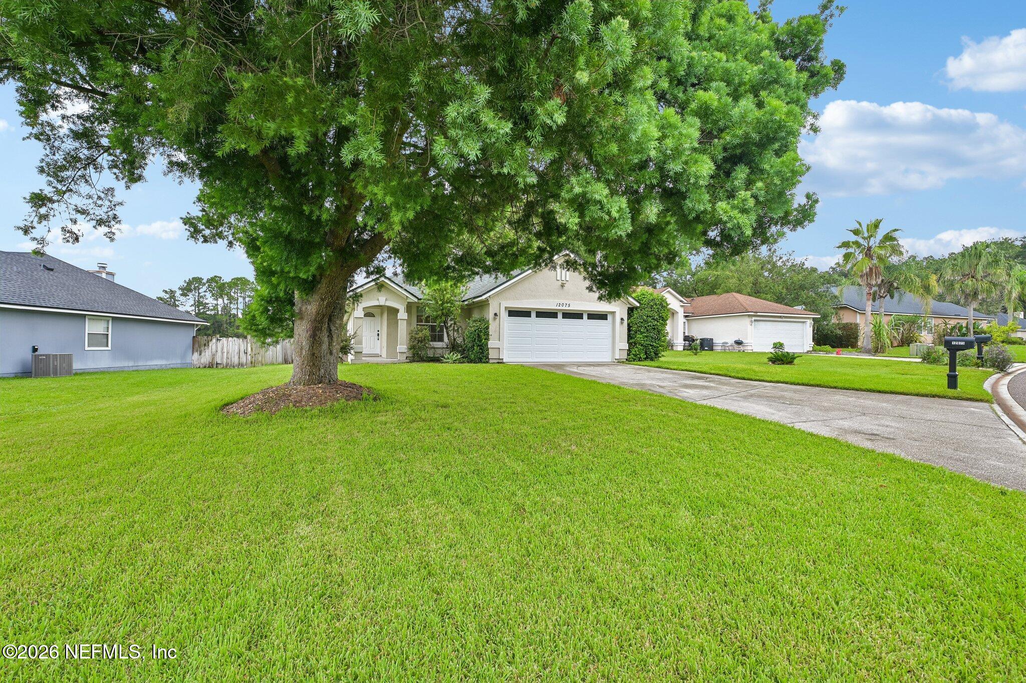 12075 Foal Ln, Jacksonville, FL 32246 photo