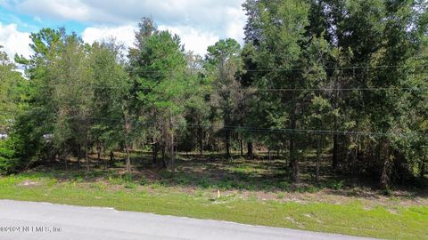 Unimproved Land in Middleburg FL 4644 HEDGEHOG Street.jpg