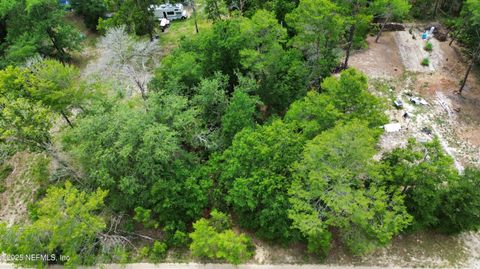 Unimproved Land in Florahome FL 127 EAST Drive 4.jpg