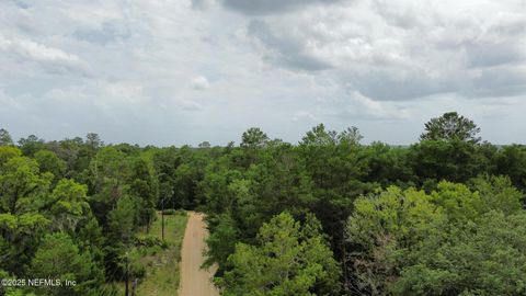 Unimproved Land in Florahome FL 127 EAST Drive 6.jpg