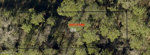 Unimproved Land in Baldwin FL 921 MARTIN LUTHER KING JR Drive.jpg