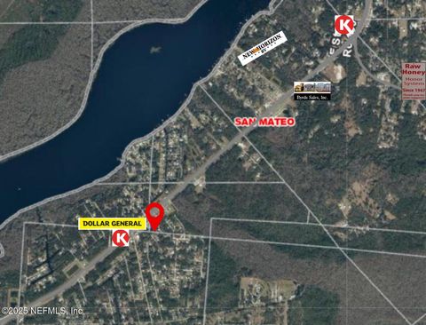 Unimproved Land in Satsuma FL 736 S HIGHWAY 17.jpg