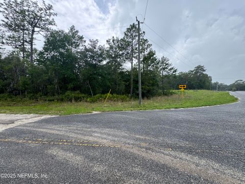Unimproved Land in Florahome FL 201 HERNANDO Drive.jpg