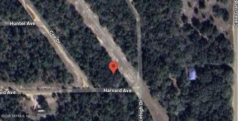 Unimproved Land in Keystone Heights FL 6030 HARVARD Avenue.jpg