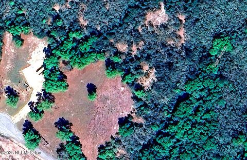 Unimproved Land in White Springs FL 2006 NW NW THUNDER Road.jpg