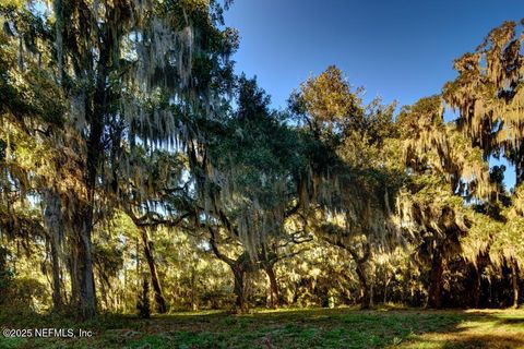 Single Family Residence in St. Johns FL 62 BIRCH Point 34.jpg