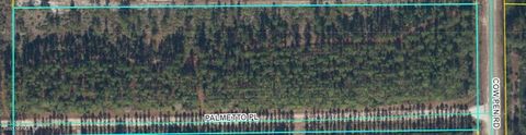 Unimproved Land in Sanderson FL 0 COWPEN Road.jpg