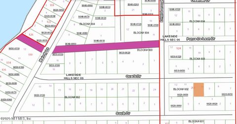 Unimproved Land in Florahome FL 205 QUARTZ Drive.jpg